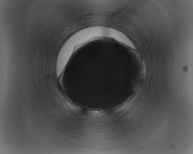 X0000094350239200711241922