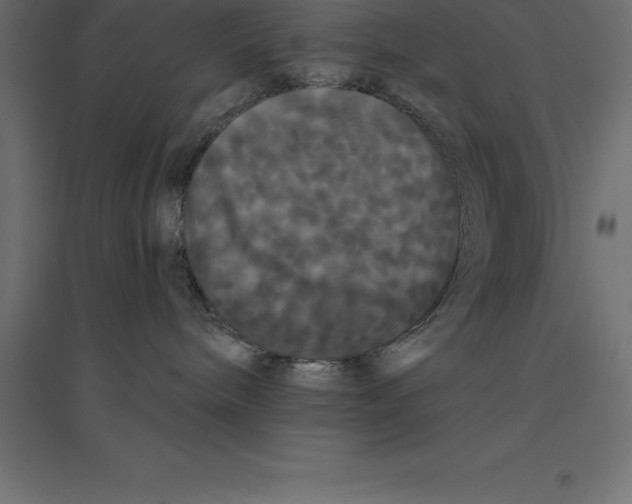 X0000094350240200711241922