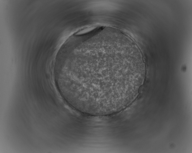 X0000094350241200711241921