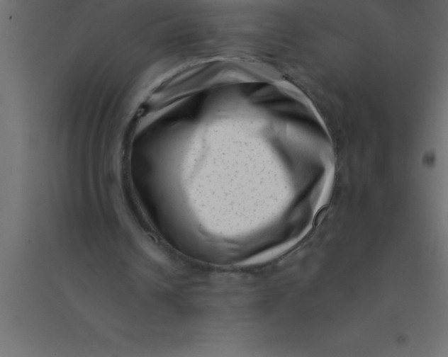 X0000094350242200711241921