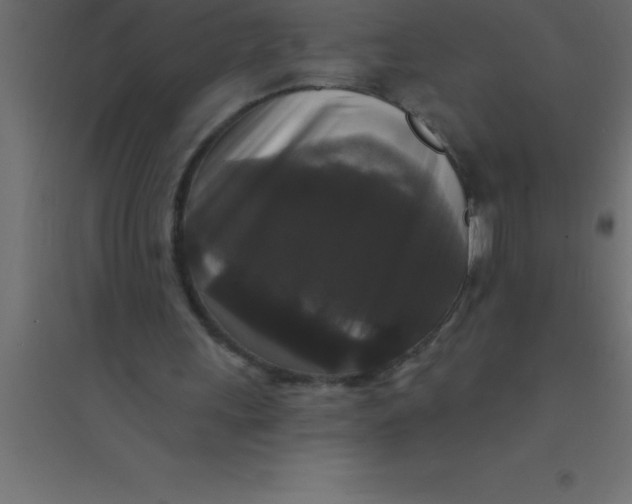 X0000094350243200711241921