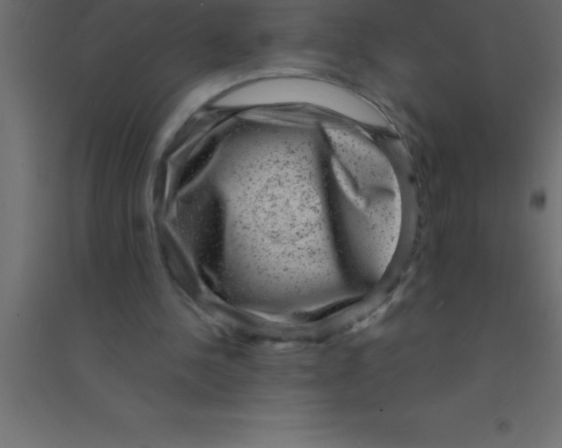 X0000094350244200711241921