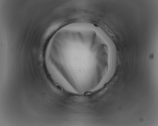 X0000094350245200711241921