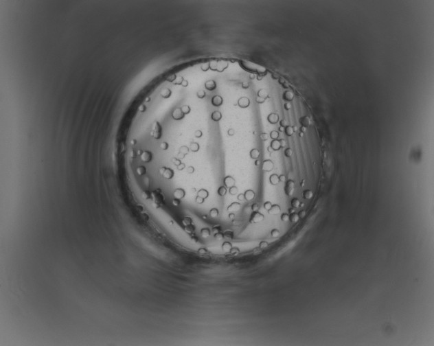 X0000094350246200711241921