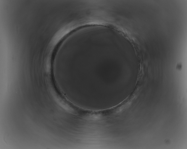 X0000094350247200711241921