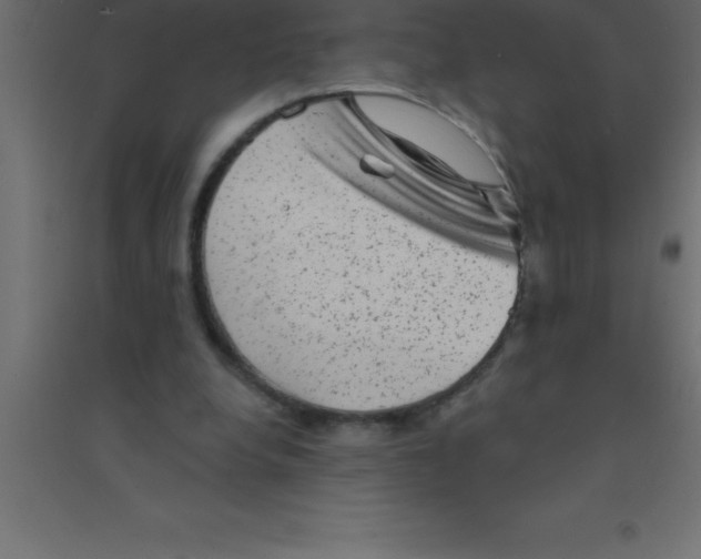 X0000094350248200711241921