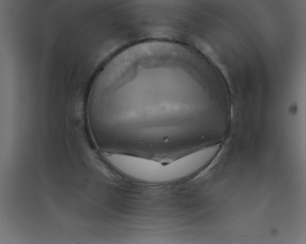 X0000094350249200711241921