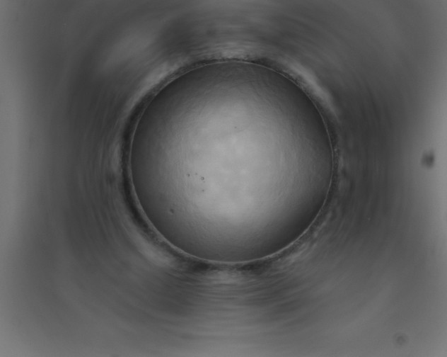 X0000094350250200711241921