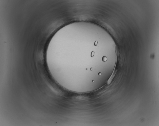 X0000094350251200711241921