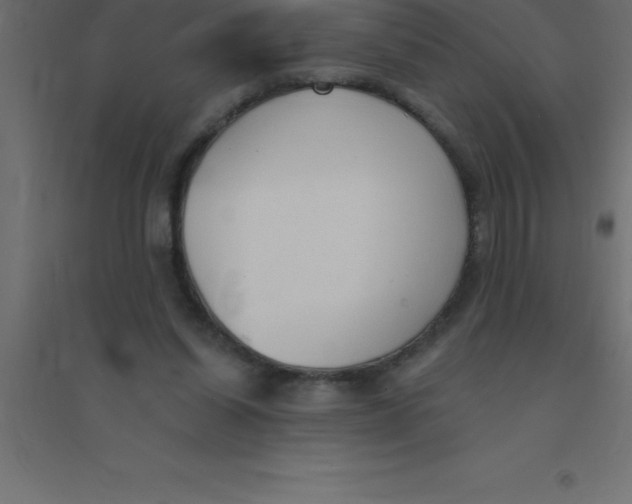 X0000094350254200711241921