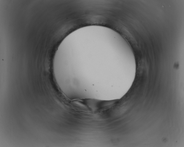 X0000094350255200711241921