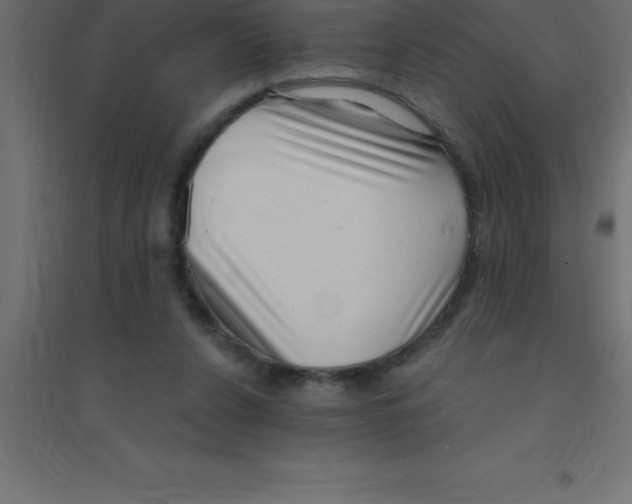 X0000094350256200711241921