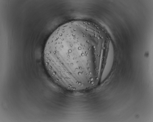 X0000094350257200711241921