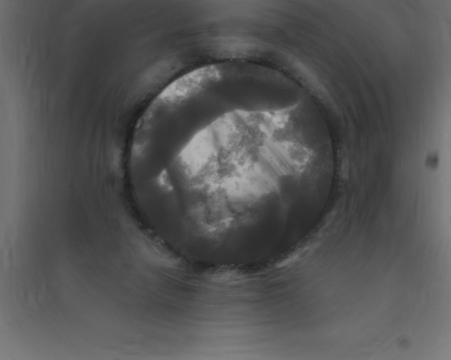 X0000094350258200711241921