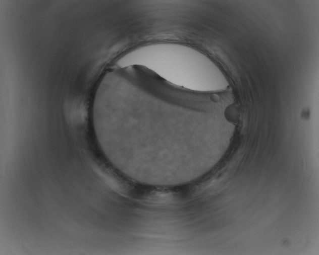 X0000094350260200711241921