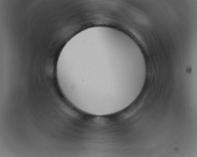 X0000094350261200711241921