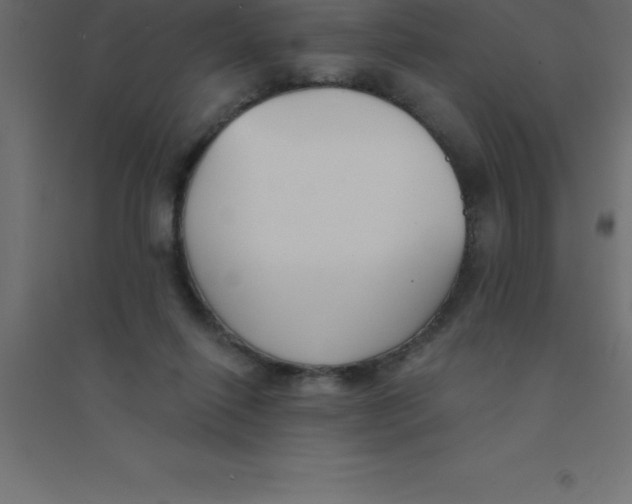 X0000094350262200711241921