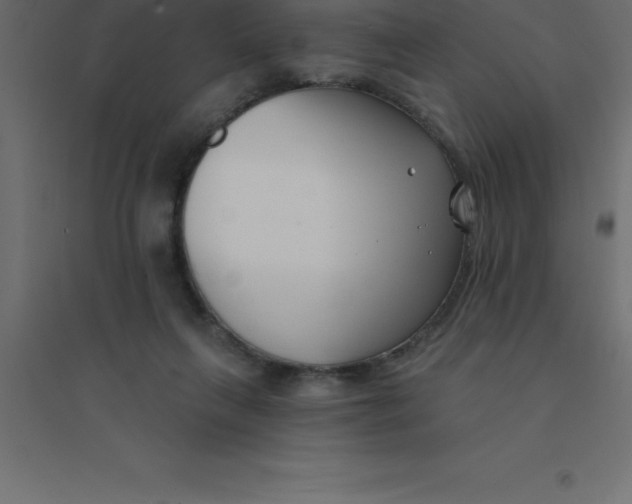 X0000094350263200711241921