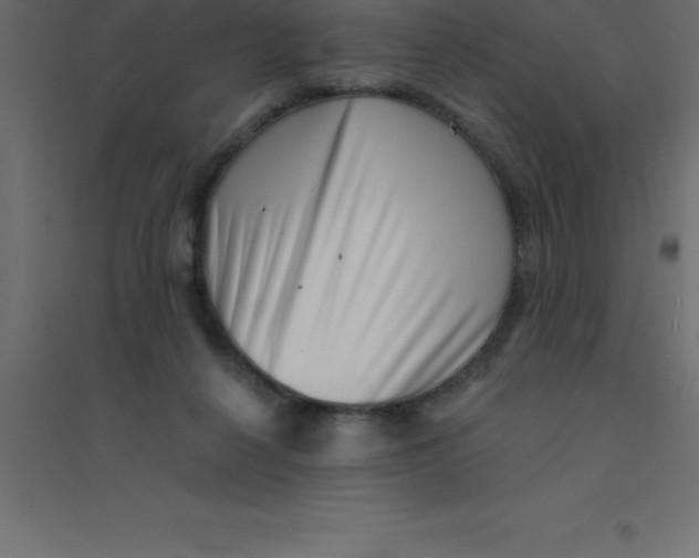 X0000094350264200711241921