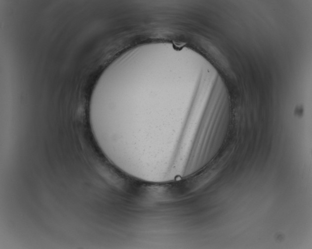 X0000094350265200711241921