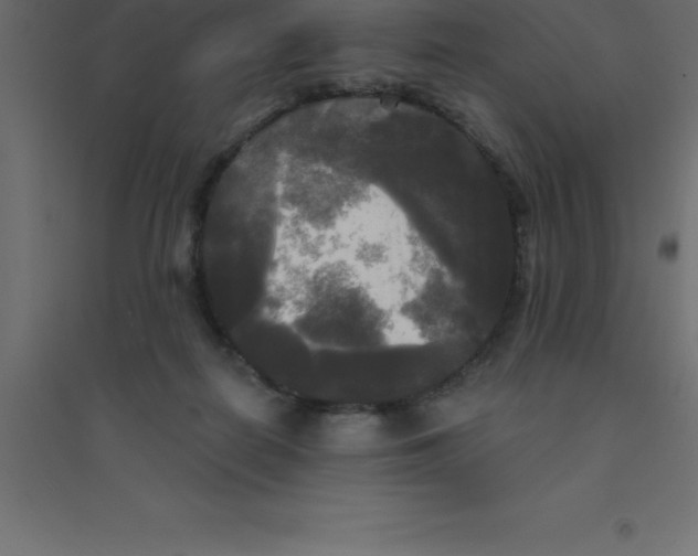 X0000094350266200711241921