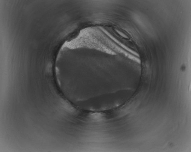 X0000094350269200711241921