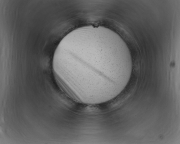 X0000094350270200711241921