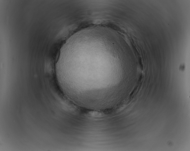 X0000094350272200711241921