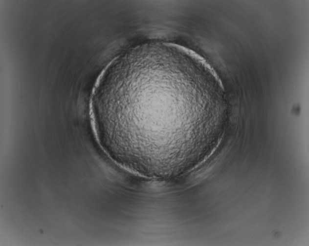 X0000094350273200711241921