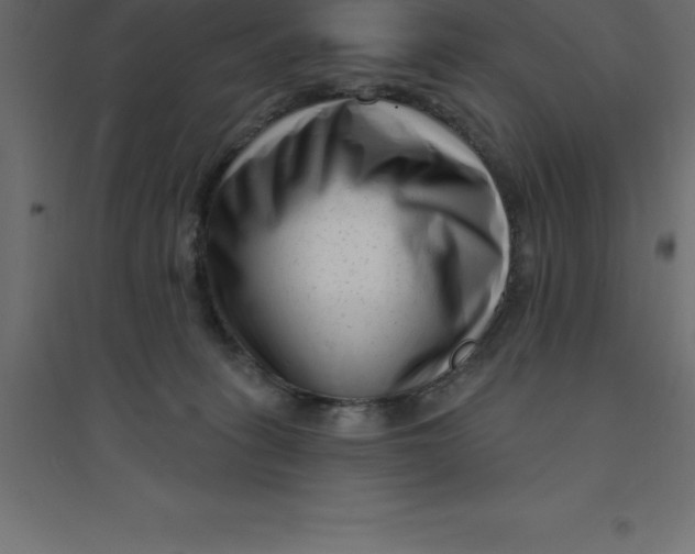 X0000094350275200711241921