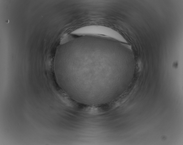 X0000094350276200711241921