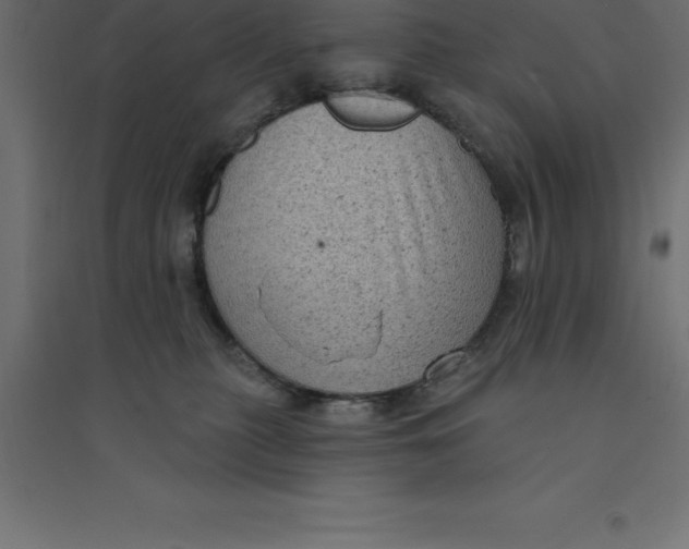 X0000094350279200711241921