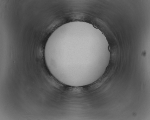 X0000094350282200711241921