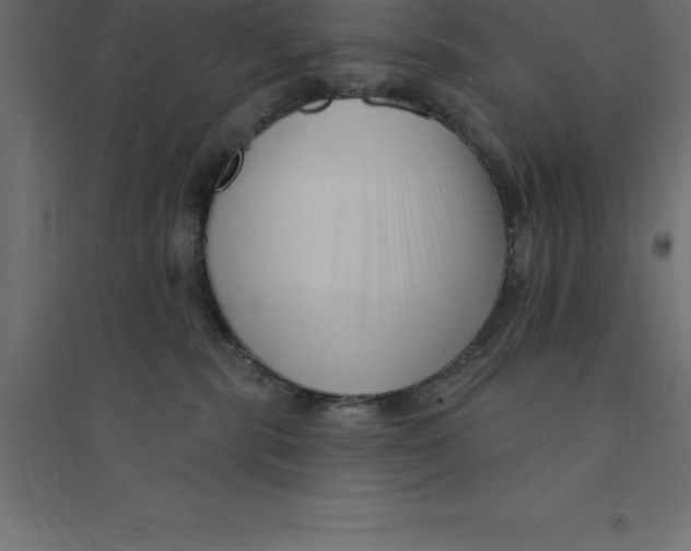 X0000094350283200711241921