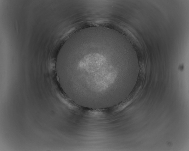 X0000094350284200711241921