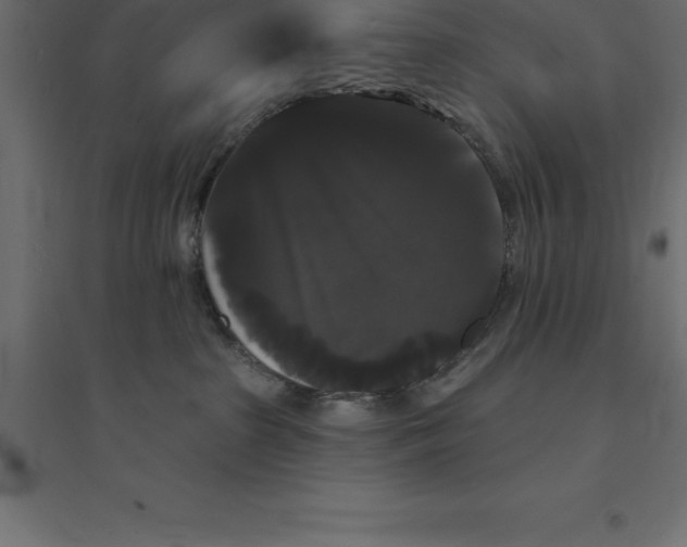 X0000094350285200711241921