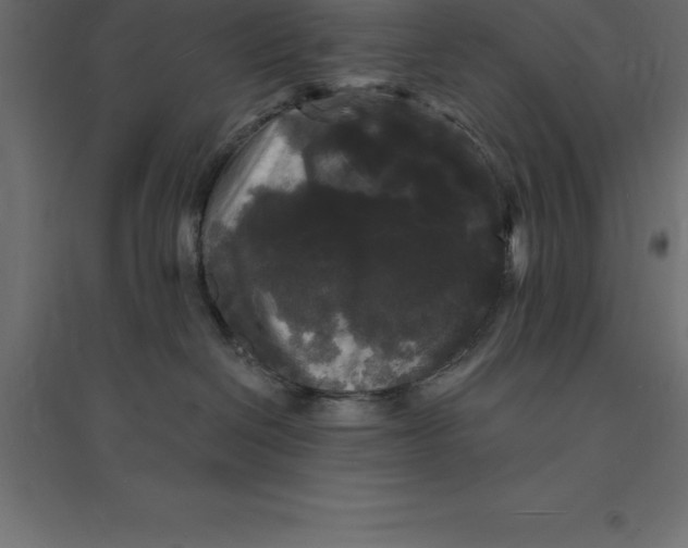 X0000094350286200711241921