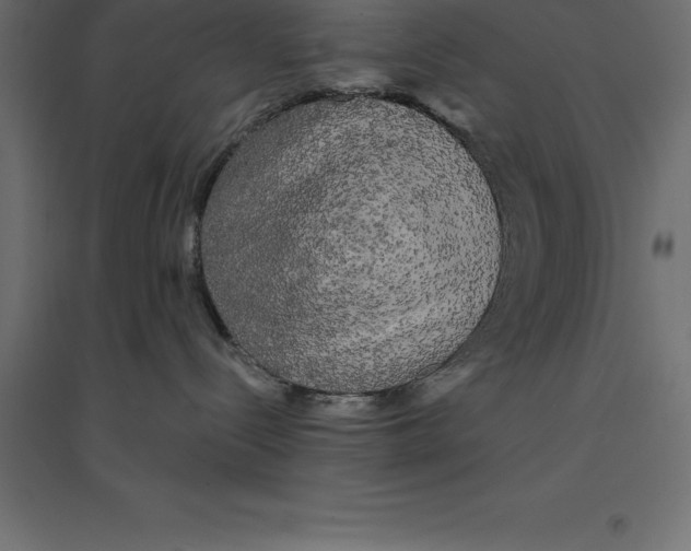 X0000094350288200711241921