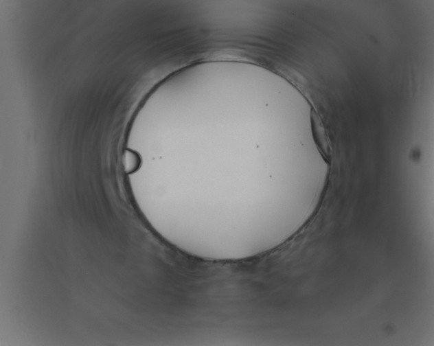 X0000094350289200711241921