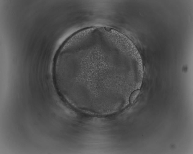 X0000094350292200711241921