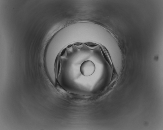 X0000094350293200711241921