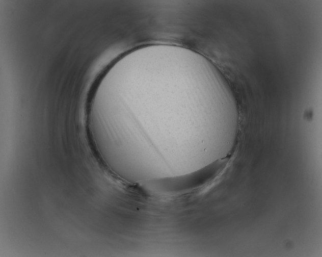 X0000094350294200711241921