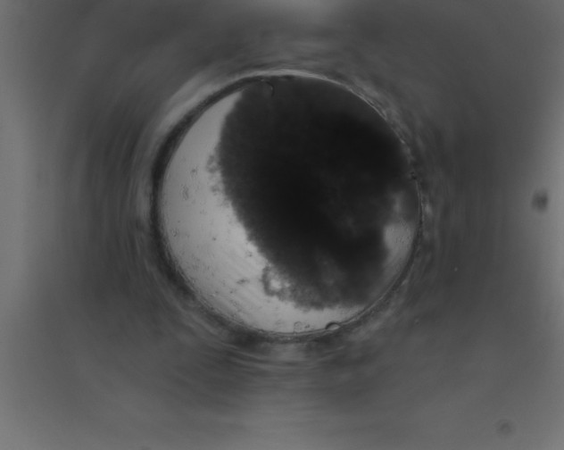 X0000094350295200711241921