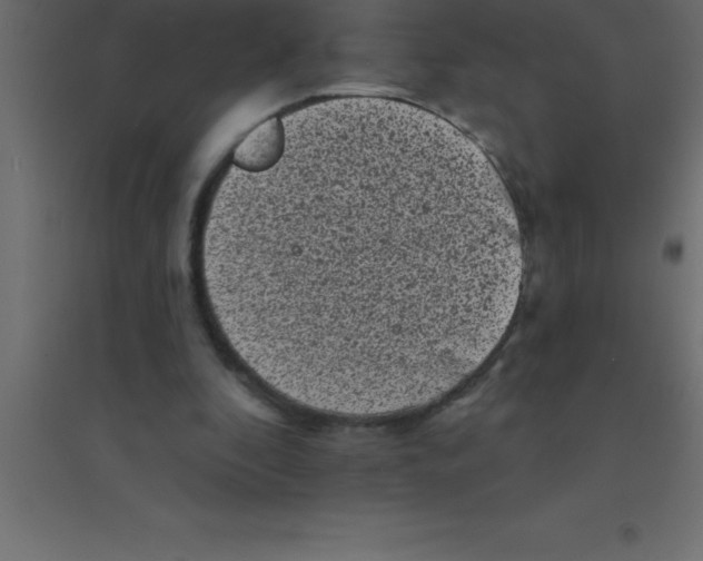 X0000094350296200711241921