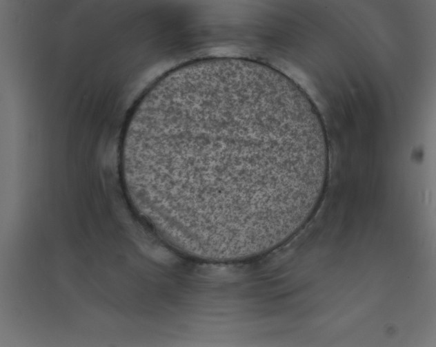 X0000094350297200711241921