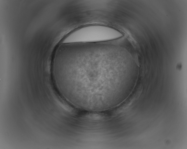 X0000094350299200711241921