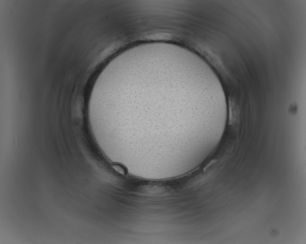 X0000094350300200711241921