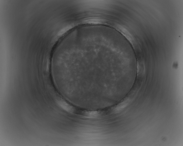 X0000094350301200711241920