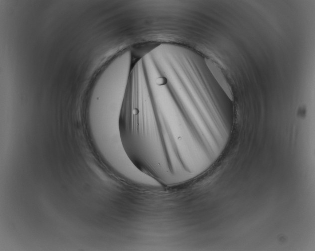 X0000094350302200711241920