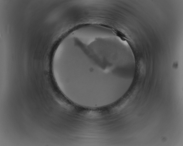 X0000094350303200711241920